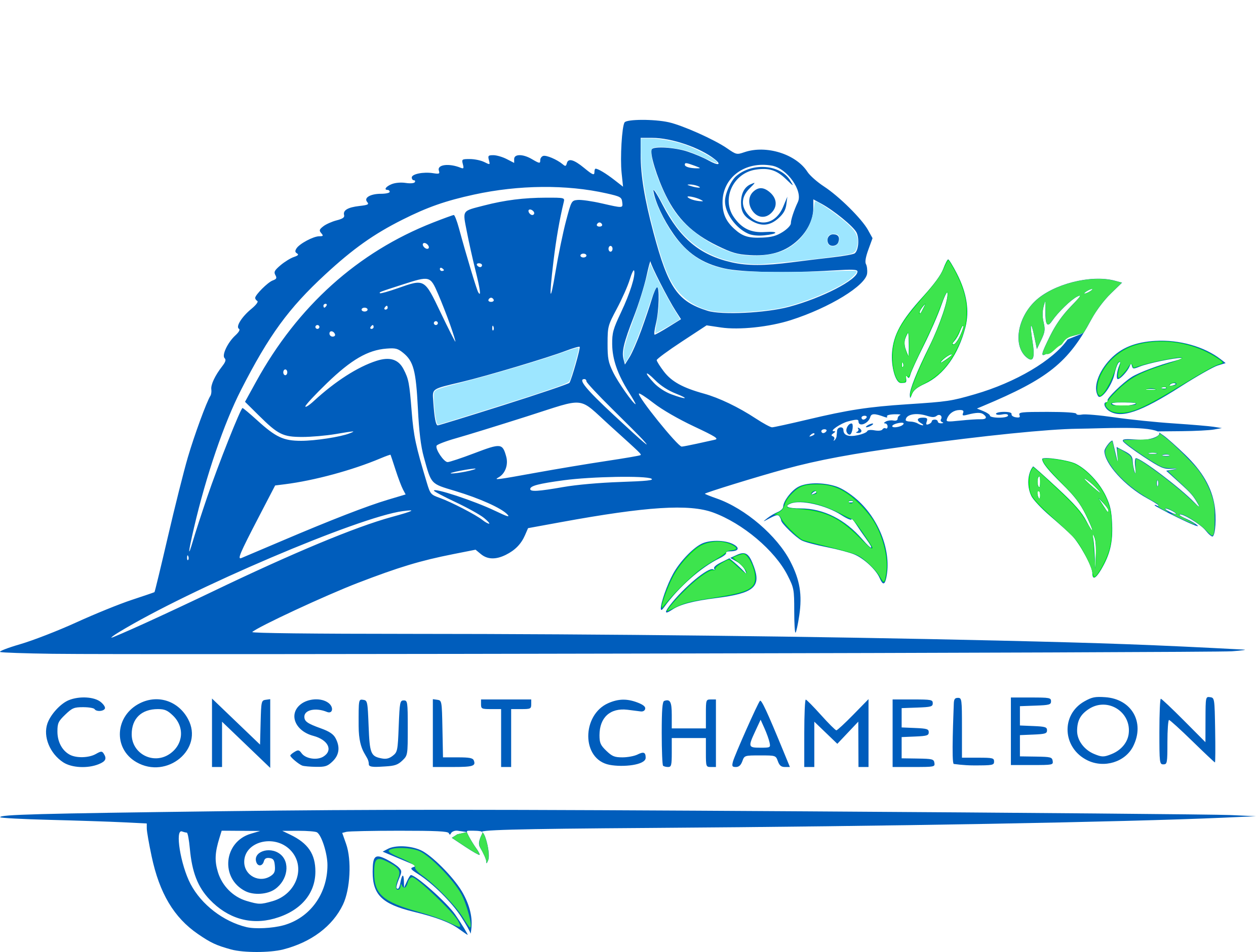 ConsultChameleon
